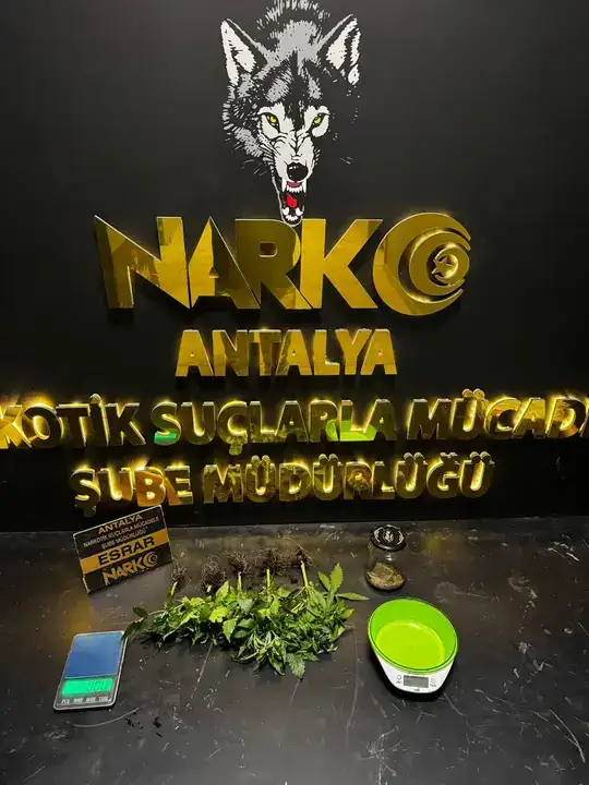 Antalya Emniyet Müdürü Zaimoğlu Bizzat Yönetti 4